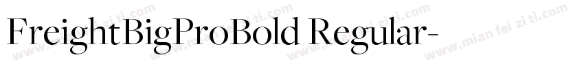 FreightBigProBold Regular字体转换